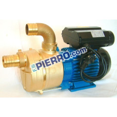 ESAURITO Elettropompe Vino Olio Autoadescanti EEM 30 Per Travaso Liquidi In Ottone Con Motore Monofase ESAURITO Elettropompe Vino Olio Autoadescanti EEM 30 Per Travaso Liquidi In Ottone Con Motore Monofase