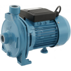 Elettropompa superficie centrifuga monogirante CENTURION 110 -  2 HP 